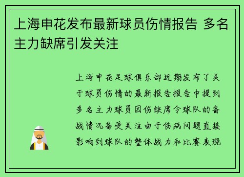 上海申花发布最新球员伤情报告 多名主力缺席引发关注